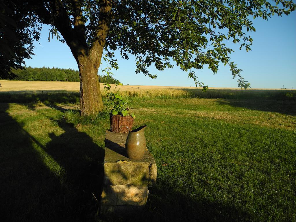 Alte Scheune Rietzschelhof Muglitztal المظهر الخارجي الصورة